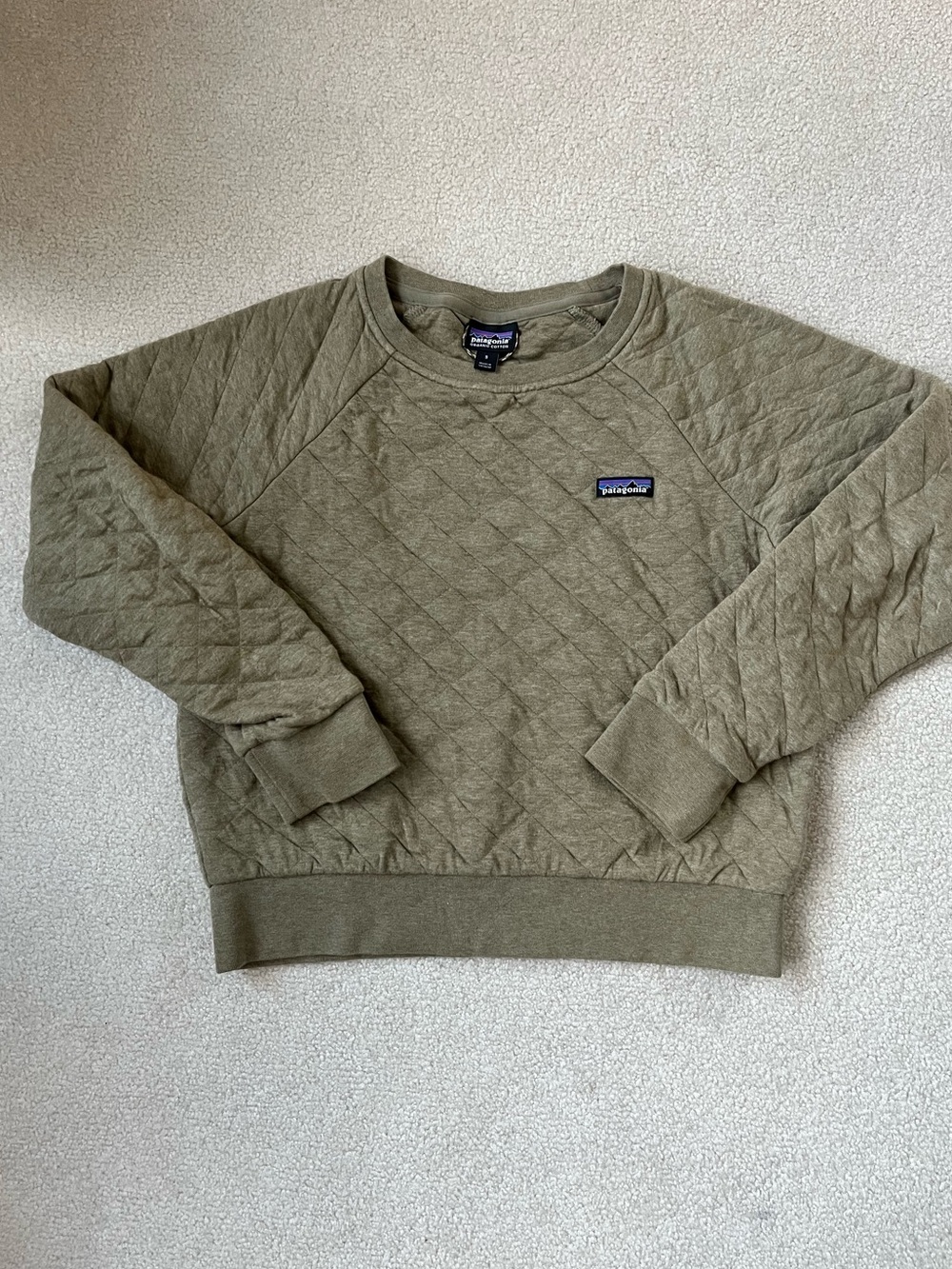 Patagonia sweatshirt